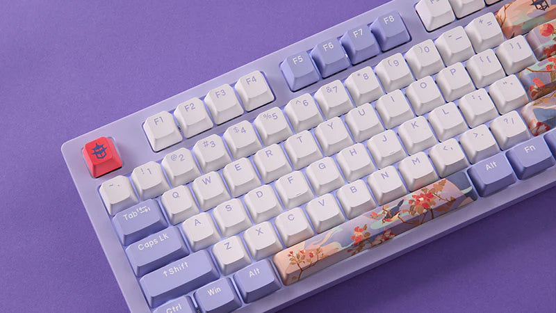 All You Need To Know About a Red Switch Keyboard - Dareu