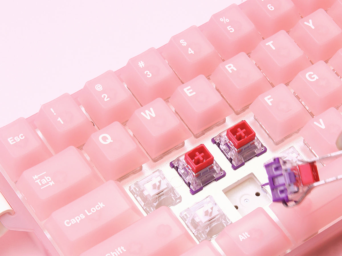 Multiple Switches Freely Replaceable - Image 1