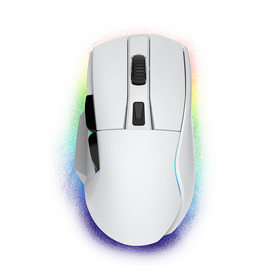Custom Gaming Mouse
