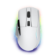 Custom Gaming Mouse