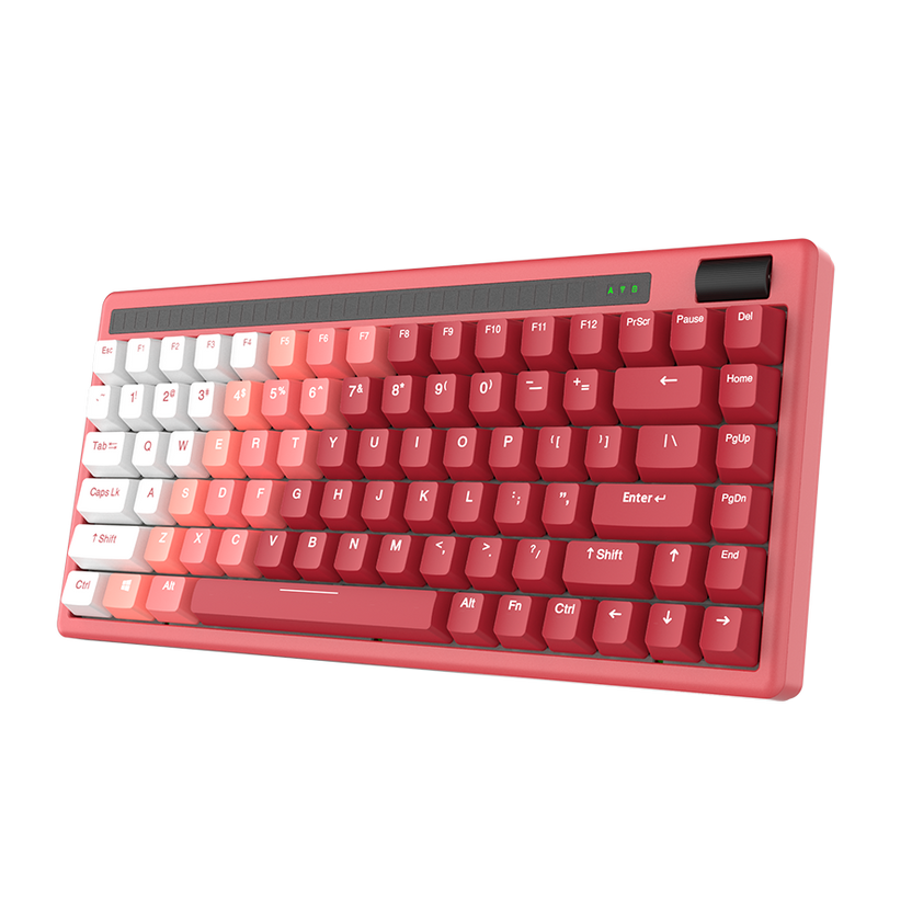 Best Mechanical Gaming Keyboard Choices | Dareu Official Store