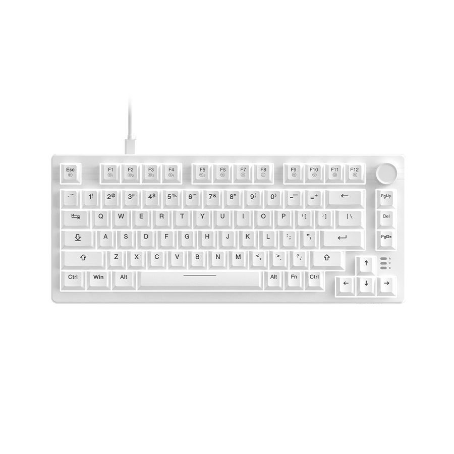 DAREU EK75 | Compact 75-Key Rainbow Wired Gasket Gaming Keyboard