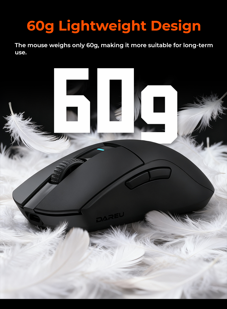 Product Image - Image 1