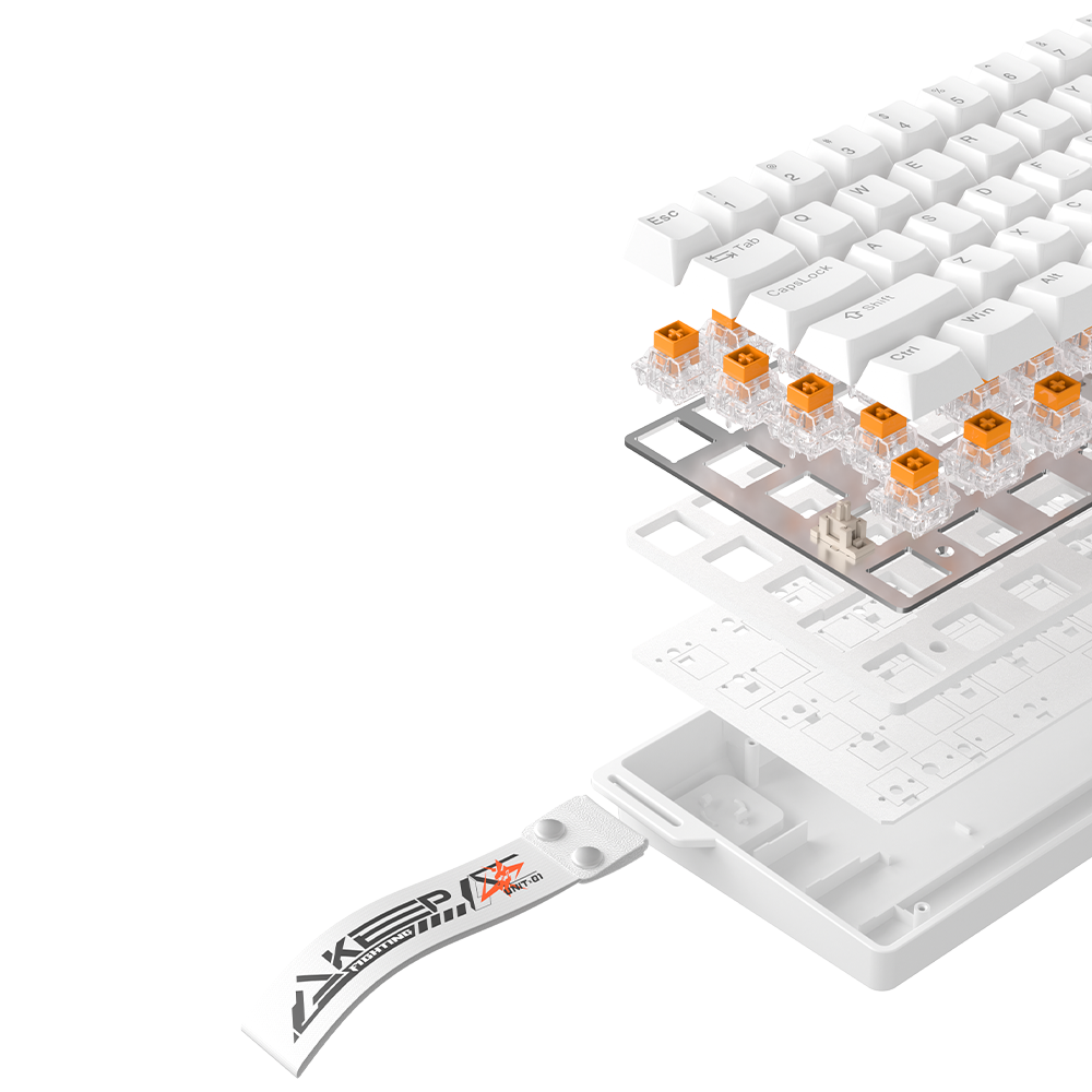 DAREU EK60 HE  | Wired 0.01mm RT Accuracy Adjustable, 8000Hz PollingGaming Keyboard