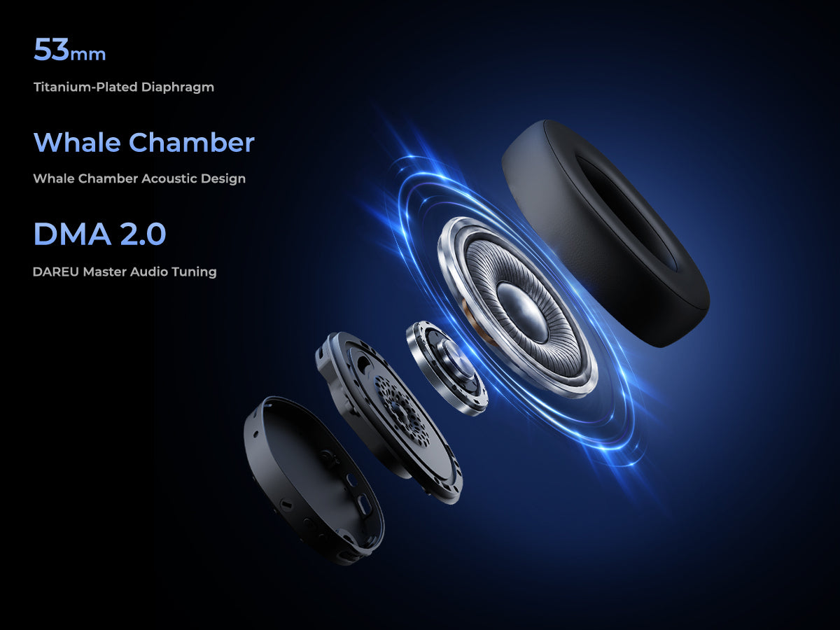 >30,000mm³ Whale Chamber Acoustic Design - Image 1